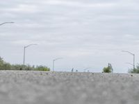 a person skateboarding across an empty open road with trees in the background at the bottom