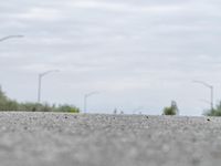 a person skateboarding across an empty open road with trees in the background at the bottom