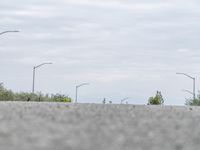 a person skateboarding across an empty open road with trees in the background at the bottom