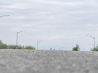 a person skateboarding across an empty open road with trees in the background at the bottom