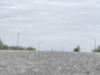 a person skateboarding across an empty open road with trees in the background at the bottom