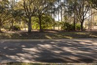 a person riding a skateboard down an empty street near the woods behind them are trees with no leaves