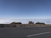 a person on a skateboard standing near the top of a hill with low clouds in the background