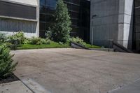 a skateboarder rides in a very concrete space with plants on it's sides