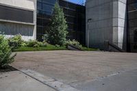 a skateboarder rides in a very concrete space with plants on it's sides