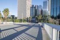 a skateboarder is riding along the empty city street in front of the skyscrapers