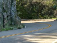 a person on a skateboard is on a curved road through the woods and a tree