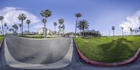 a boy that is skateboarding at a park in california city, ca with palm trees