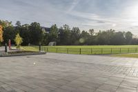 a skateboarder rides a skateboard in a park near trees and green grass