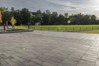 a skateboarder rides a skateboard in a park near trees and green grass