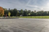 a skateboarder rides a skateboard in a park near trees and green grass