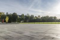 a skateboarder rides a skateboard in a park near trees and green grass