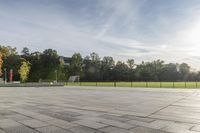 a skateboarder rides a skateboard in a park near trees and green grass