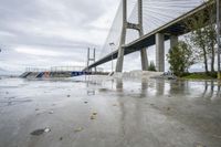 a skateboarder is sitting in front of a bridge in the rain with his skateboard in hand