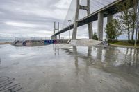 a skateboarder is sitting in front of a bridge in the rain with his skateboard in hand