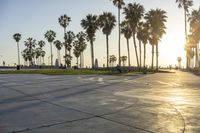 a group of people riding on skateboards in front of palm trees at sunset park