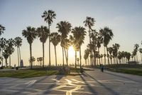 a group of people riding on skateboards in front of palm trees at sunset park