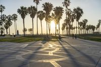 a group of people riding on skateboards in front of palm trees at sunset park