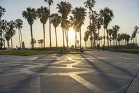 a group of people riding on skateboards in front of palm trees at sunset park