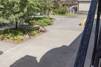 a person riding down the stairs of an old building on a skateboard board ride