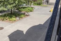 a person riding down the stairs of an old building on a skateboard board ride