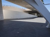 the young woman is skate boarding under an overpass in the city underpasss are also very easy to do