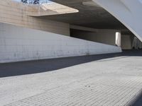 the young woman is skate boarding under an overpass in the city underpasss are also very easy to do