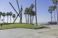 many palm trees line a walkway as a person sits on a skateboard and waits to catch a ride