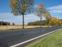 a person is riding a skateboard near the water with trees lining both sides of the road