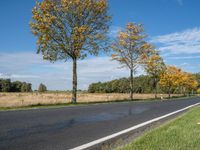 a person is riding a skateboard near the water with trees lining both sides of the road