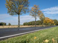 a person is riding a skateboard near the water with trees lining both sides of the road