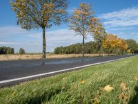 a person is riding a skateboard near the water with trees lining both sides of the road