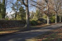 a person riding a skate board down an empty street in a wooded area with trees