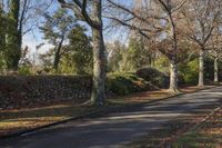 a person riding a skate board down an empty street in a wooded area with trees