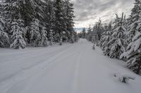 the view of a ski trail through the woods in the snow and trees in the background