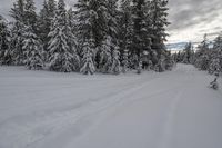 the view of a ski trail through the woods in the snow and trees in the background