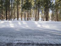 the skier is enjoying his run in the winter snow covered forest area of the town