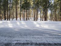 the skier is enjoying his run in the winter snow covered forest area of the town