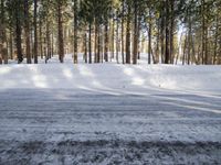 the skier is enjoying his run in the winter snow covered forest area of the town