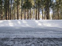 the skier is enjoying his run in the winter snow covered forest area of the town