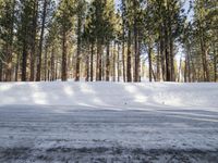 the skier is enjoying his run in the winter snow covered forest area of the town