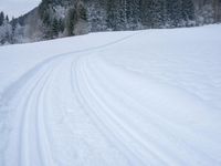 ski tracks in the snow along with trees and snow covering the ground with dark clouds in background
