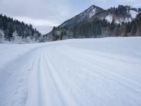 ski tracks in the snow along with trees and snow covering the ground with dark clouds in background