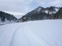 ski tracks in the snow along with trees and snow covering the ground with dark clouds in background