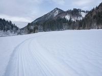 ski tracks in the snow along with trees and snow covering the ground with dark clouds in background