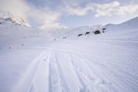 skis are lined up along the snowy slopes on a mountaintop with a ski lift in the background