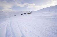 skis are lined up along the snowy slopes on a mountaintop with a ski lift in the background