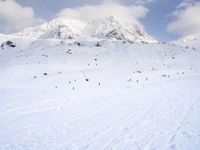 the skis are at the base of the slope line as they travel through the snow