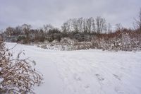 an over head view of a person skiing in the snow on a trail through a wooded area