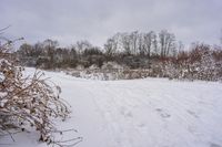 an over head view of a person skiing in the snow on a trail through a wooded area